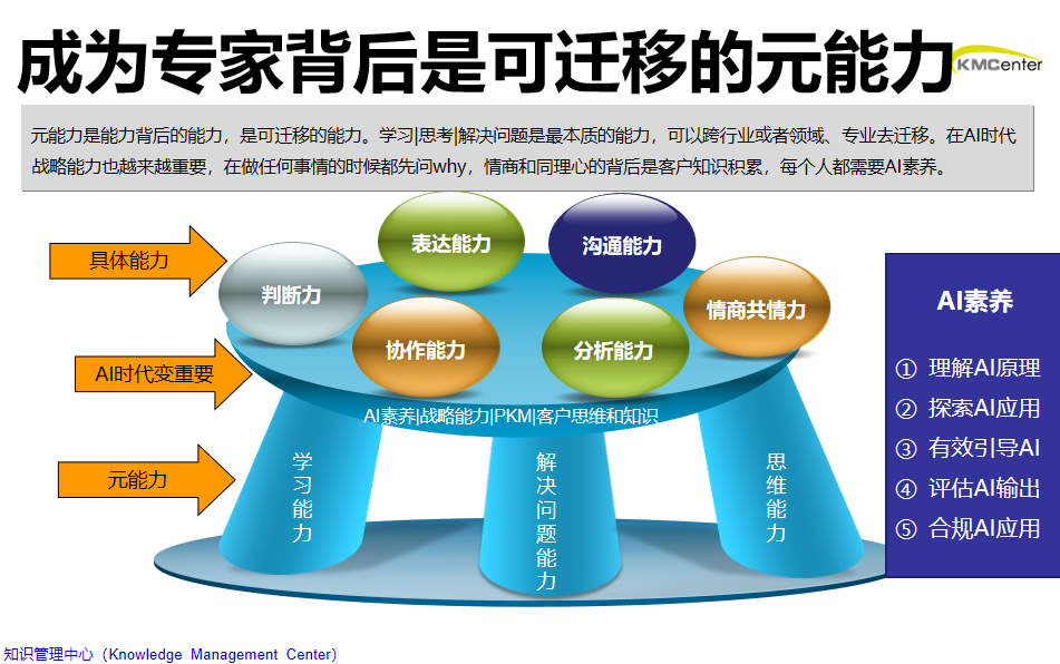 元能力包括什么